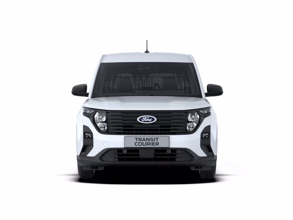 FORD Transit Courier Van Doppia Cabina Trend 1.0 EcoBoost 100CV