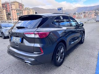 FORD Kuga 2.0 ecoblue st-line x 2wd 120cv auto