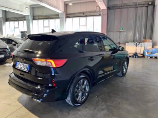 FORD Kuga 2.5 full hybrid st-line x 2wd 190cv cvt