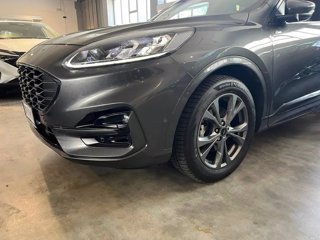 FORD Kuga 2.5 full hybrid st-line x 2wd 190cv cvt