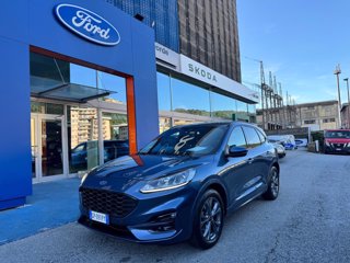 FORD Kuga 1.5 EcoBoost 150 CV 2WD ST-Line